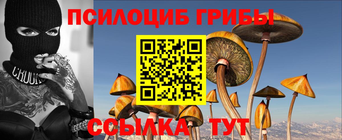 Галлюциногенные грибы ЛСД  Галлюциногенные грибы Psilocybe  Вход с VPN  Орёл 